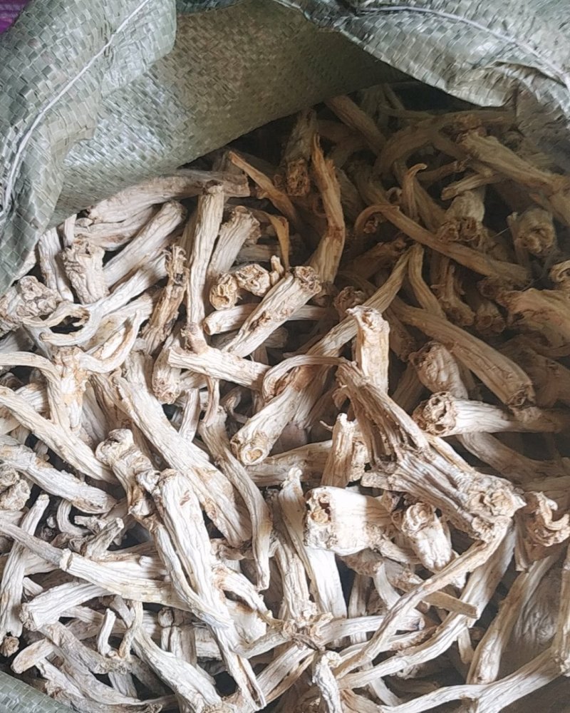 无硫桔梗安徽亳州谯城区当地产根茎类去皮