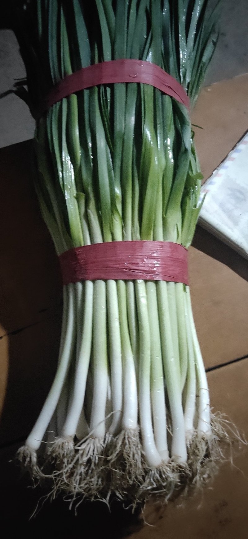油菜香葱青蒜苗