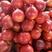 山东油桃油桃产地保质保量—脆甜多汁