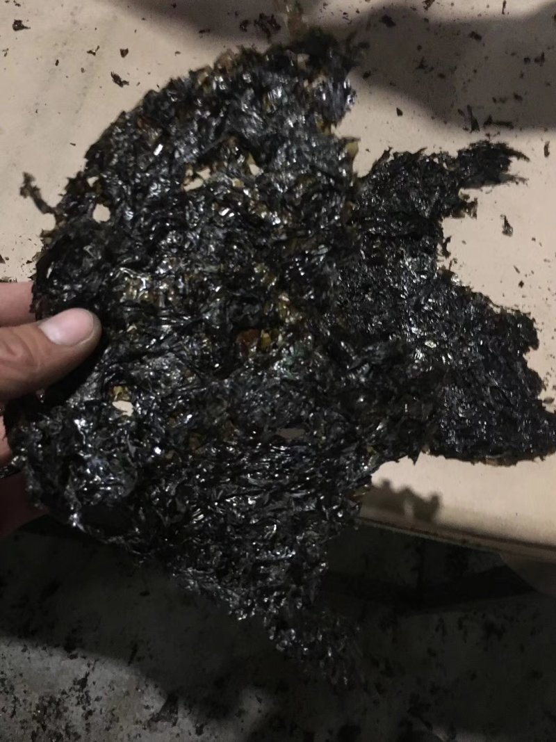 碎紫菜批发