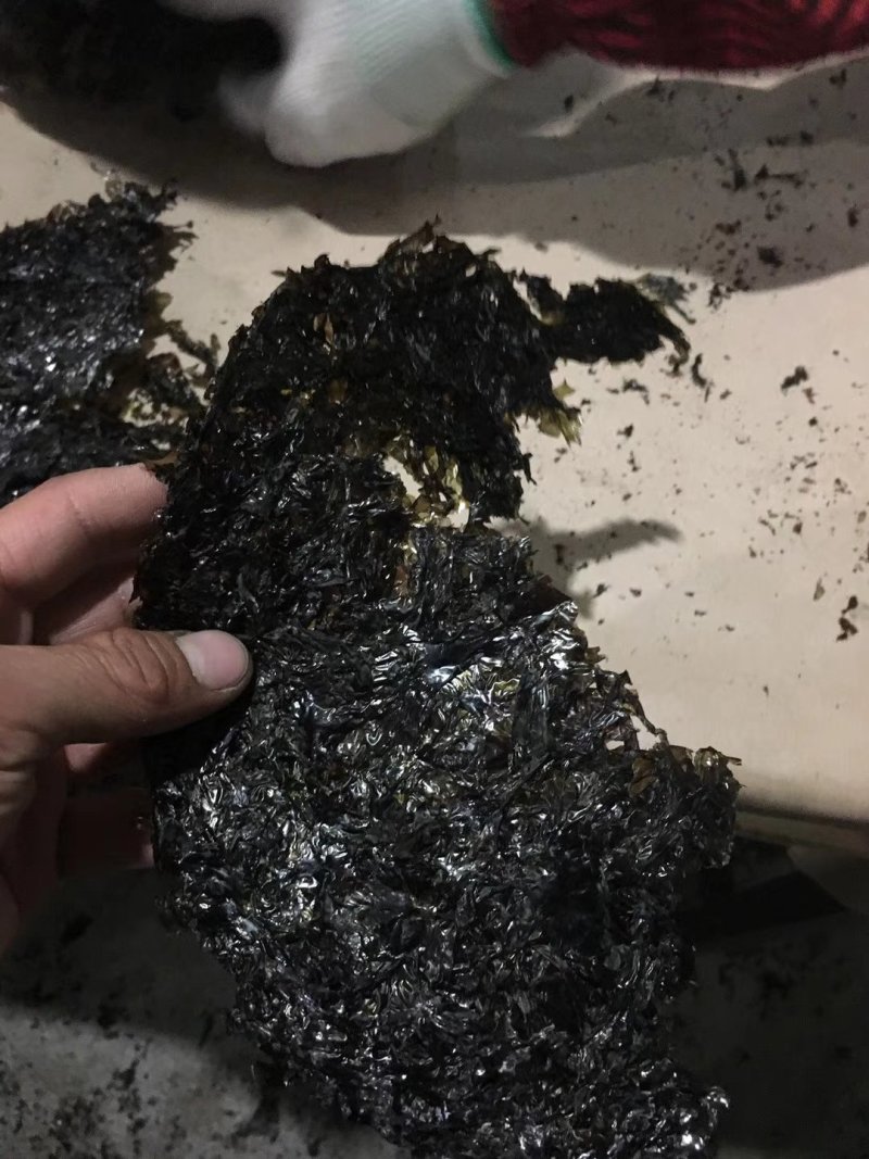 碎紫菜批发