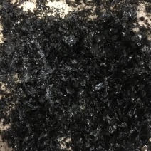 碎紫菜批发
