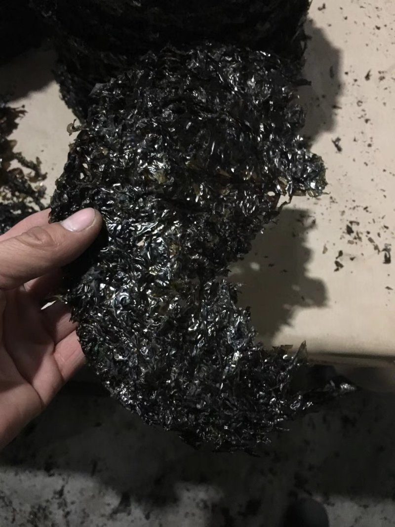 碎紫菜批发