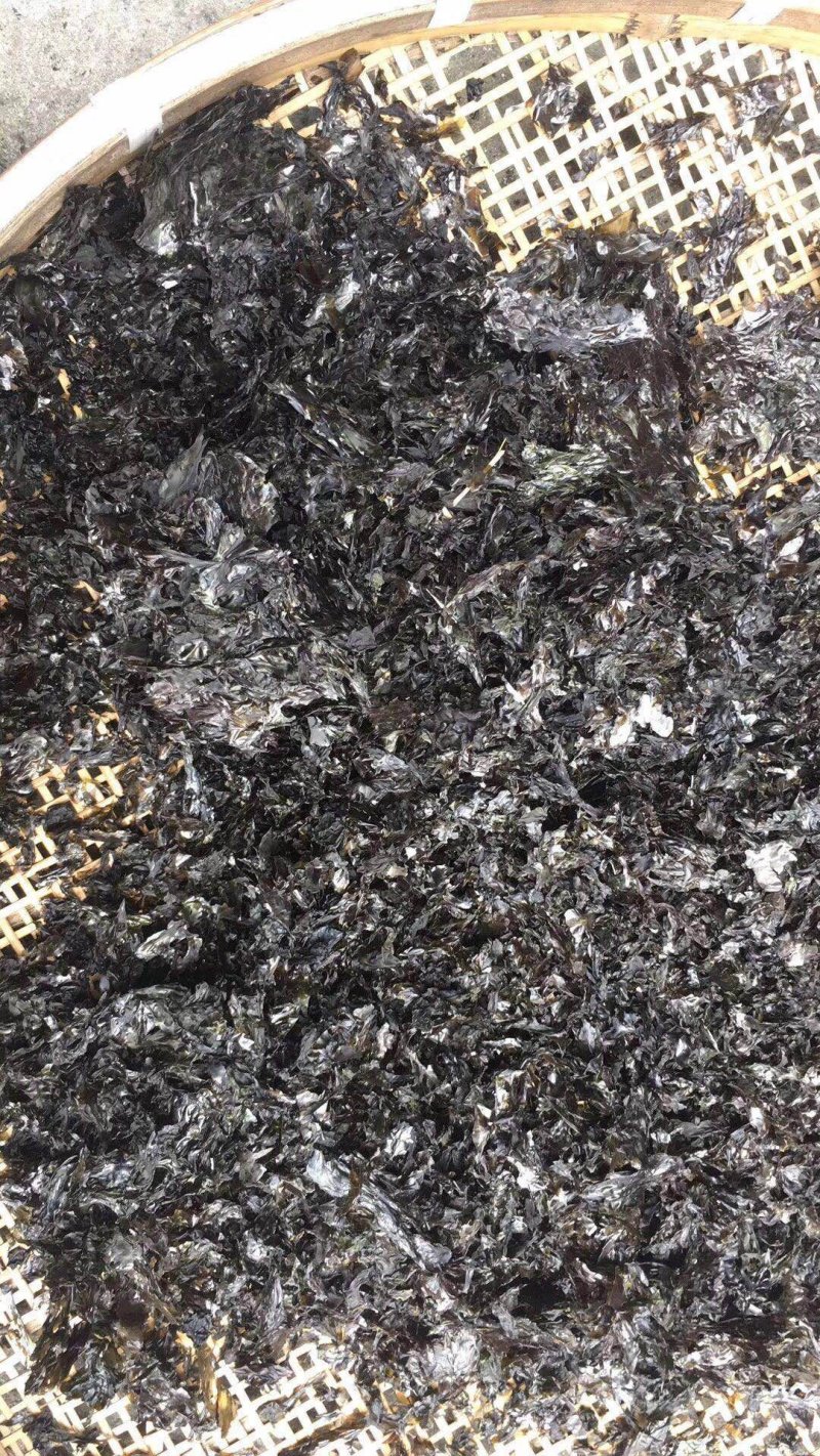 碎紫菜批发