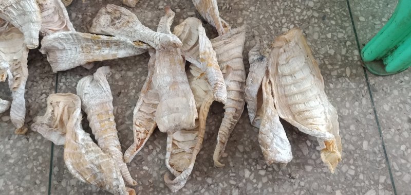 笋干水发笋干！性价比标价高