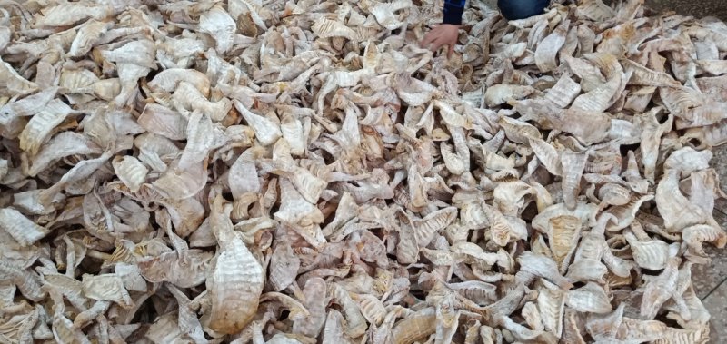 笋干水发笋干！性价比标价高
