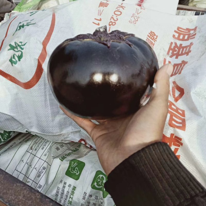 蔬菜
