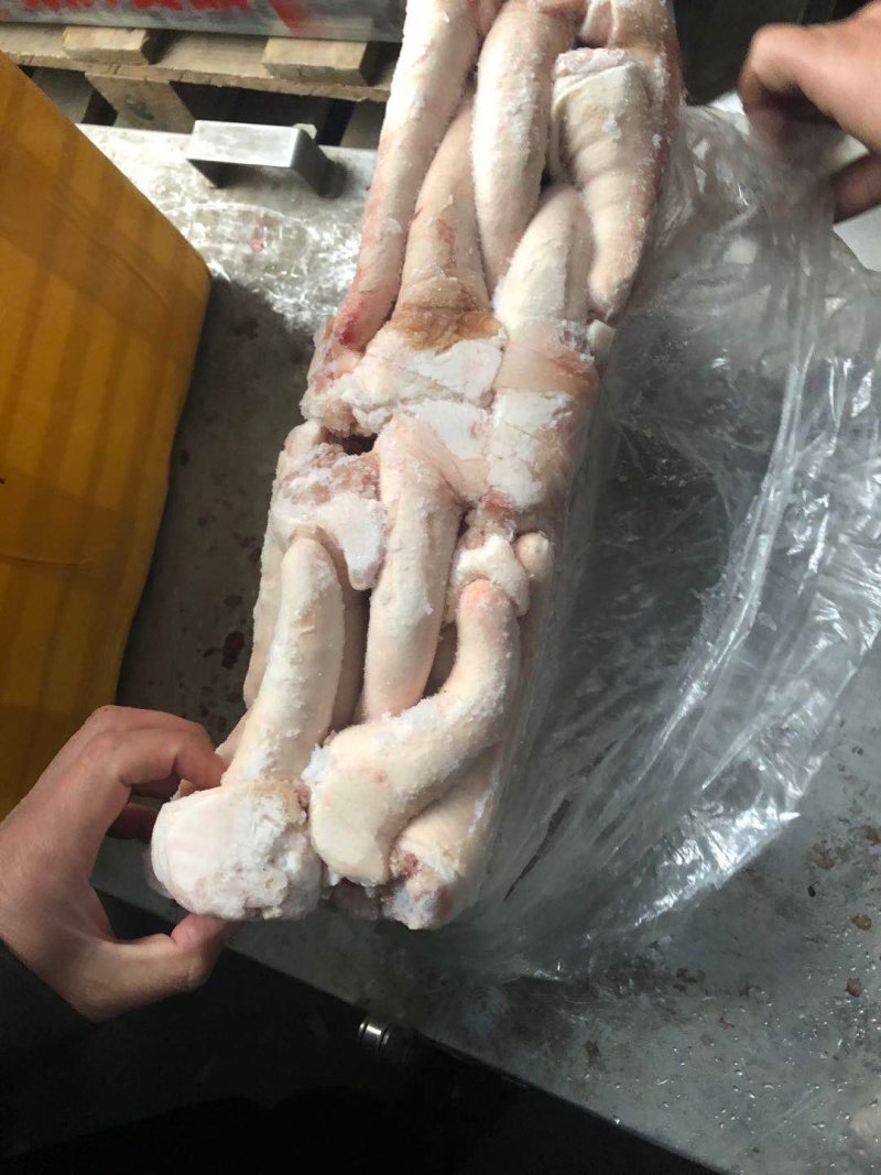 冻猪产品国产的母猪中短尾