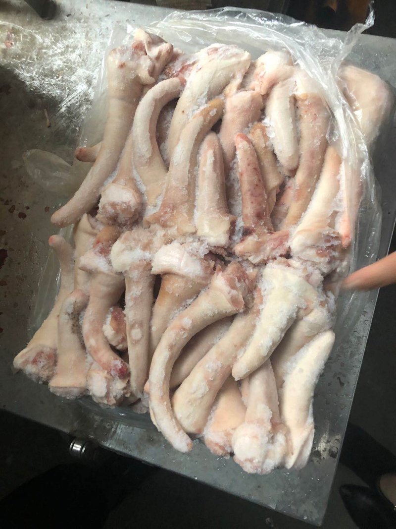 冻猪产品国产的母猪中短尾