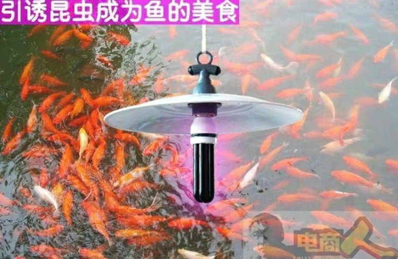 220伏黑光灯U型诱虫灯紫外灯UV固化灯,晒版灯养鱼养