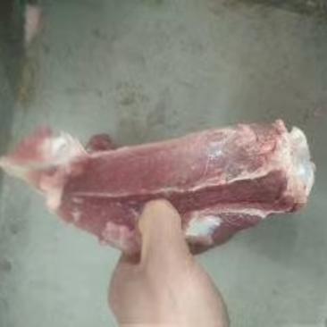 母猪带肉板骨，60%肉，40斤13个左右.