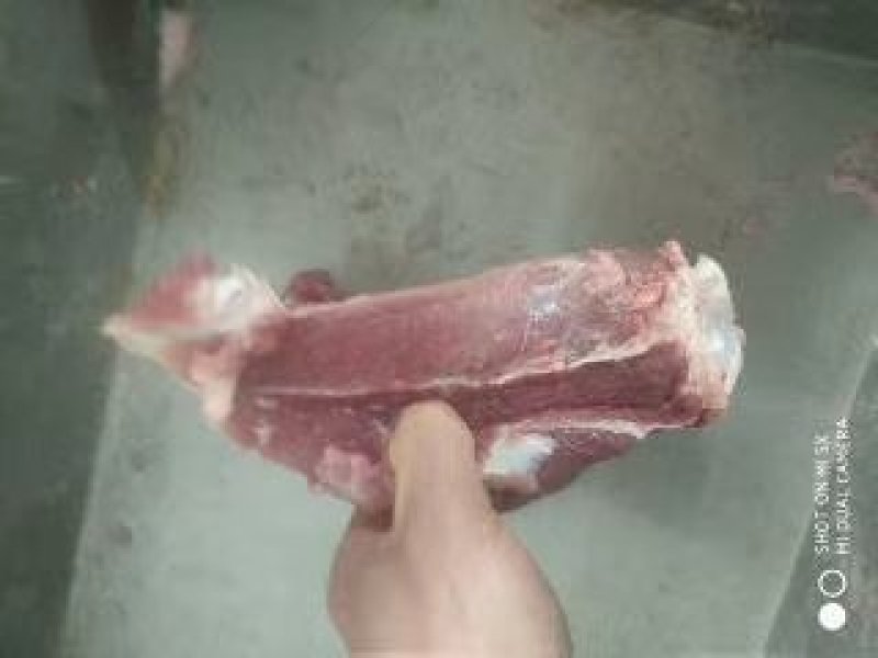 母猪带肉板骨，60%肉，40斤13个左右.