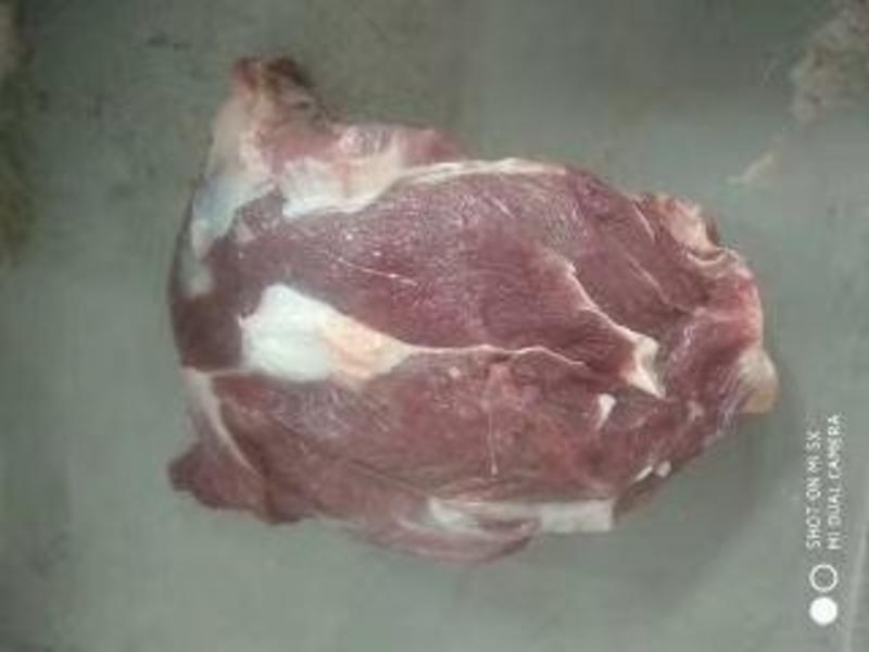 母猪带肉板骨，60%肉，40斤13个左右.