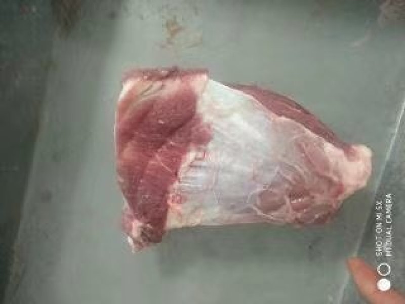 母猪带肉板骨，60%肉，40斤13个左右.