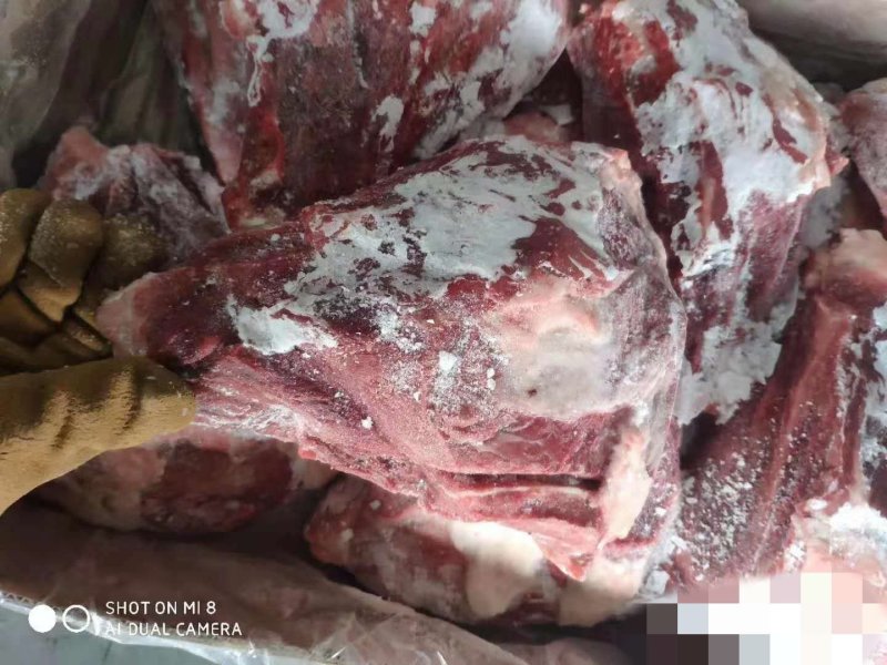 母猪带肉板骨，60%肉，40斤13个左右.