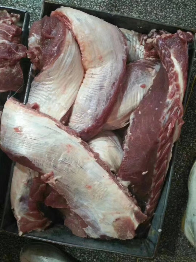 母猪带筋膜3号，50斤6-7根.