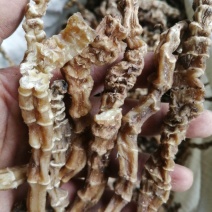 虫草参，竹节参，地参，煲汤好材料，大量现货供应