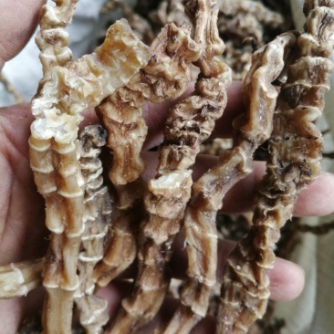 虫草参，竹节参，地参，煲汤好材料，大量现货供应