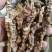虫草参，竹节参，地参，煲汤好材料，大量现货供应