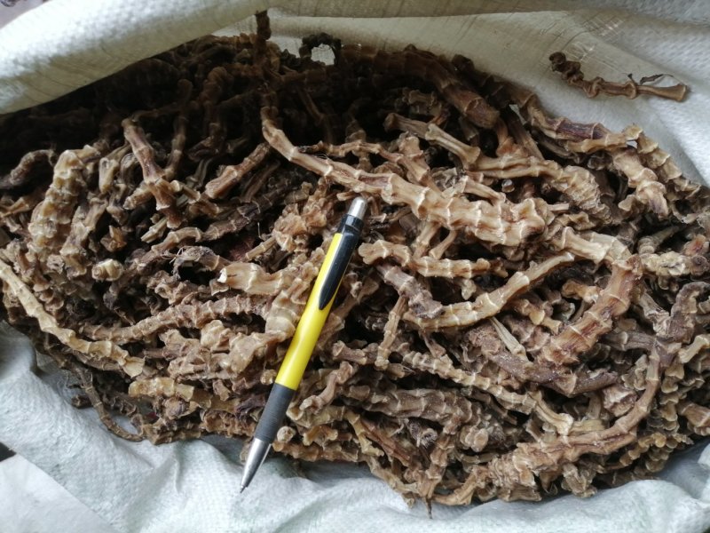 虫草参，竹节参，地参，煲汤好材料，大量现货供应