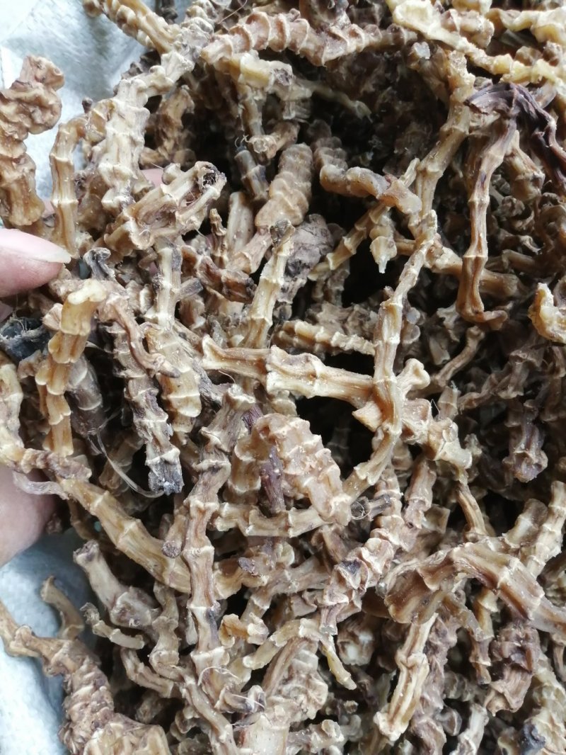 虫草参，竹节参，地参，煲汤好材料，大量现货供应