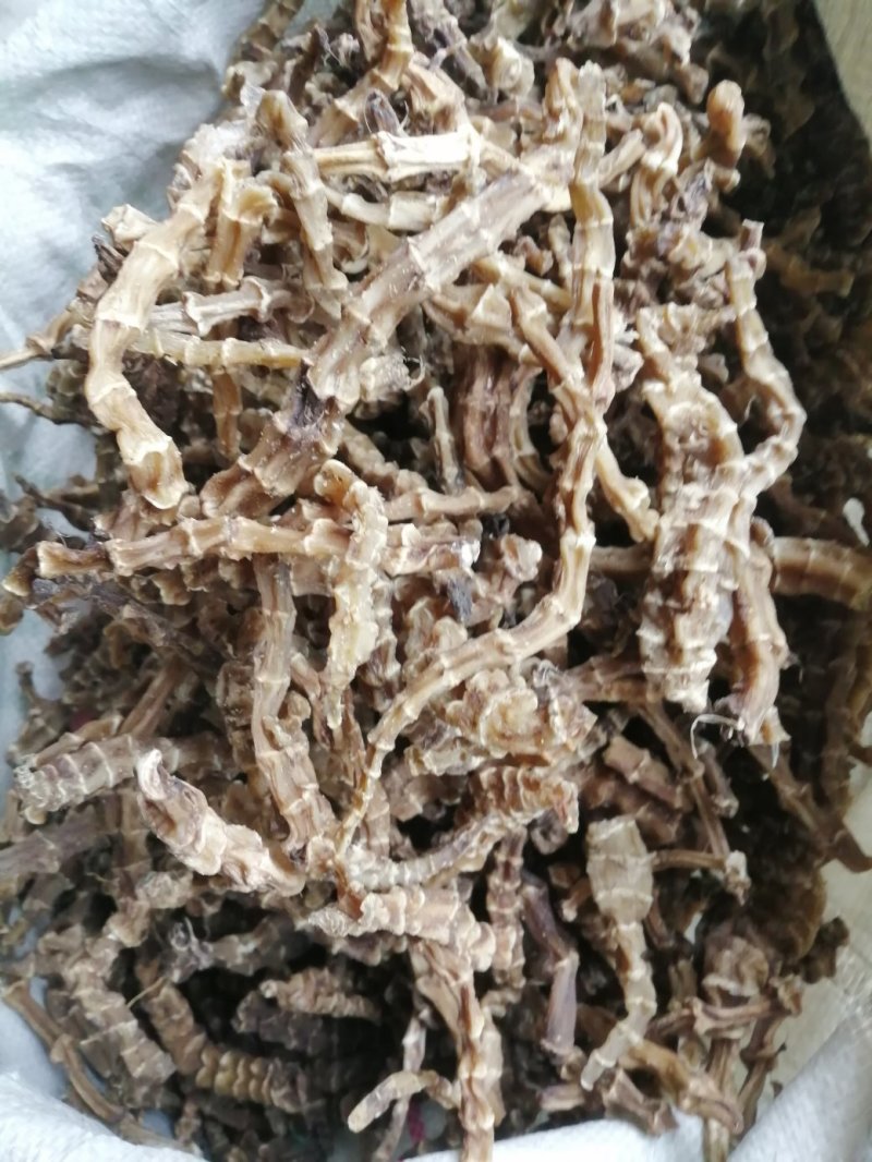 虫草参，竹节参，地参，煲汤好材料，大量现货供应