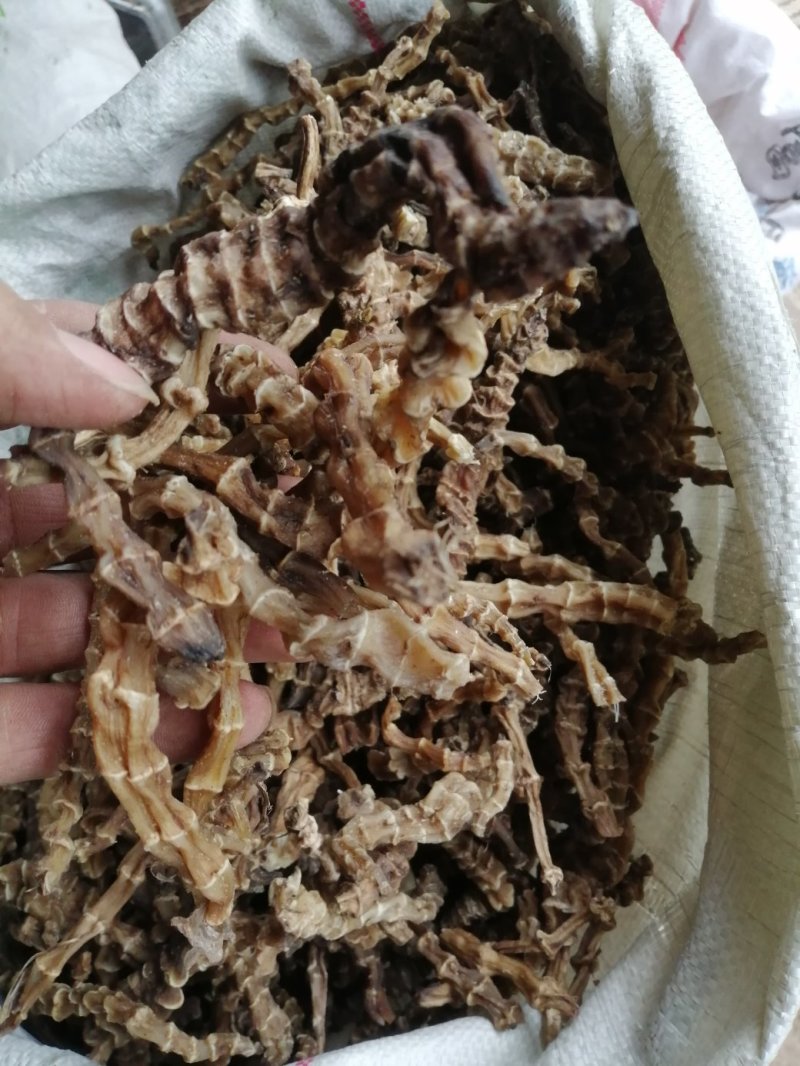虫草参，竹节参，地参，煲汤好材料，大量现货供应