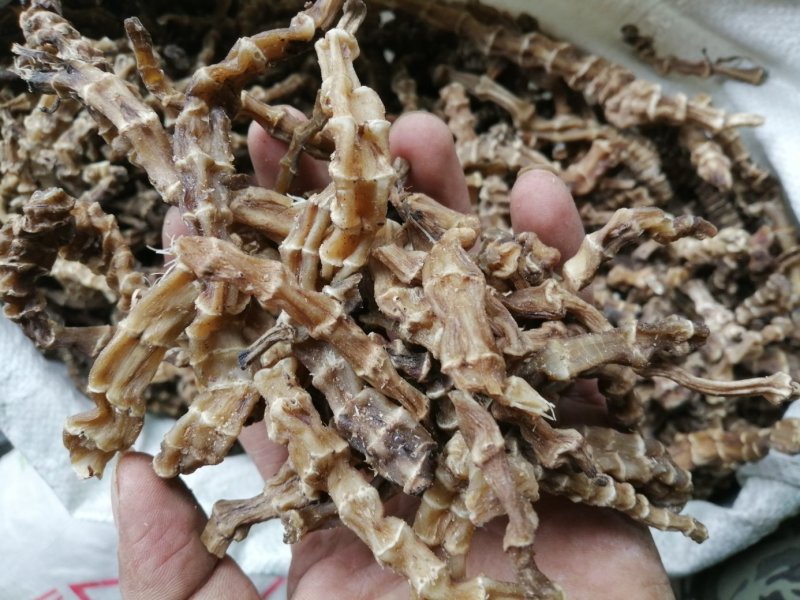虫草参，竹节参，地参，煲汤好材料，大量现货供应