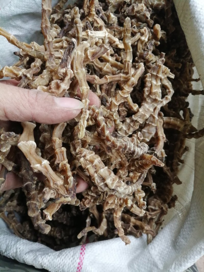虫草参，竹节参，地参，煲汤好材料，大量现货供应
