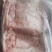 冻产品国产的母猪3号筋皮