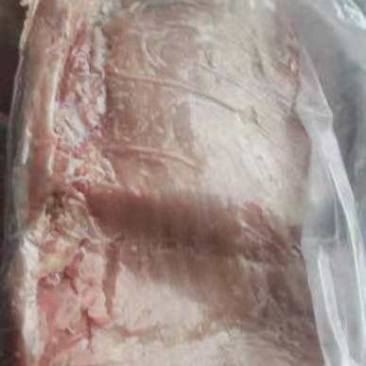 冻产品国产的母猪3号筋皮