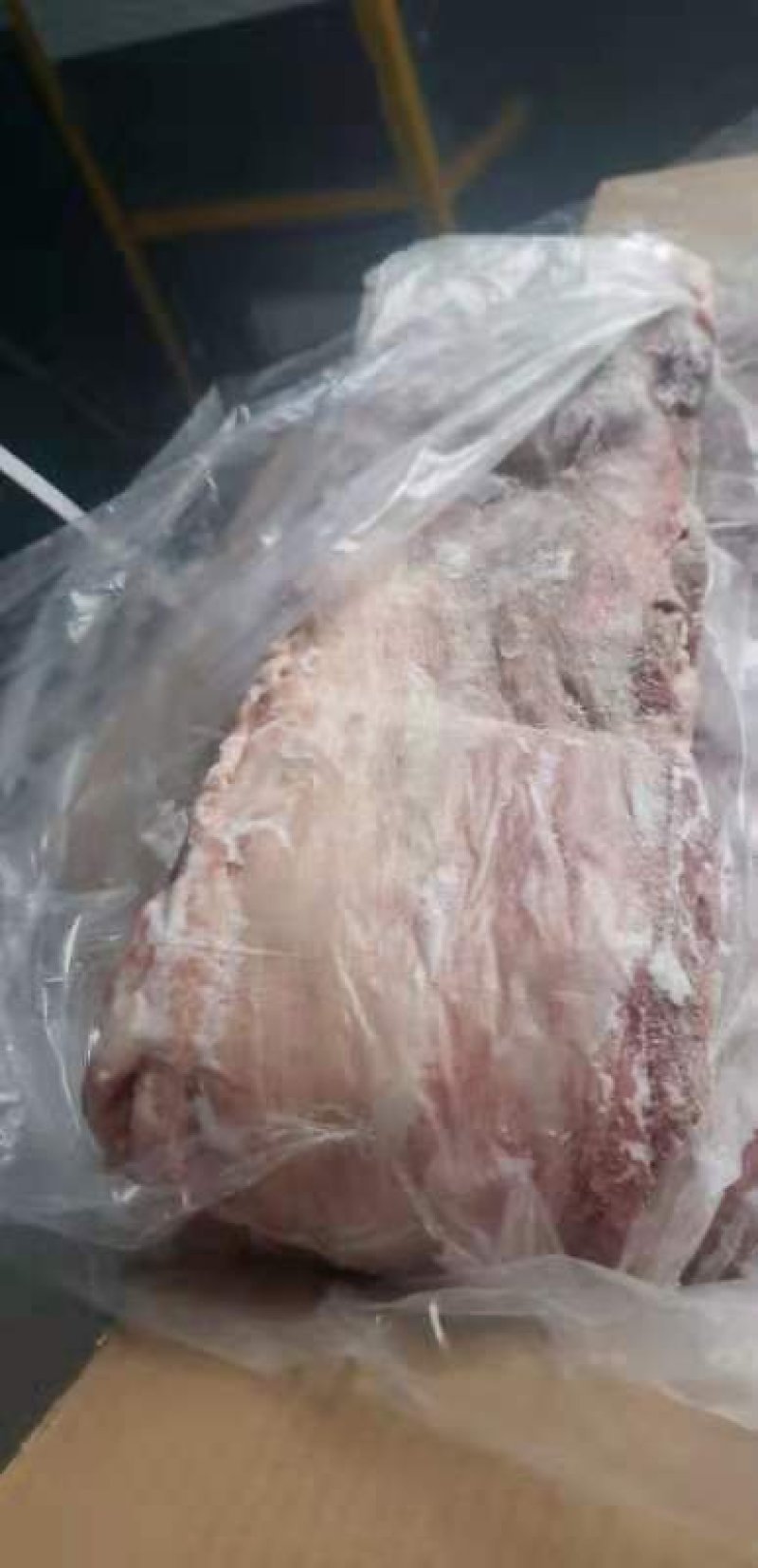 冻产品国产的母猪3号筋皮