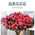 【带花苞发货】杜鹃花盆栽四季开花绿植室内外花卉客厅阳台盆