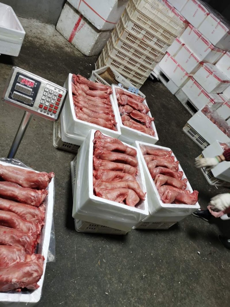 【热卖中】供应白条兔肉冷冻兔肉产品全国发货欢迎致电