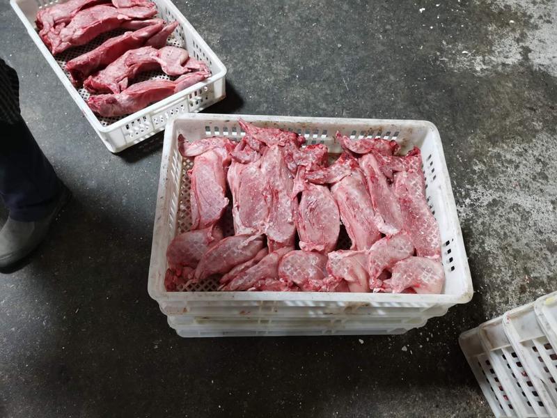 【热卖中】供应白条兔肉冷冻兔肉产品全国发货欢迎致电