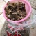 牛肉，牛肚，羊肚，