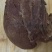 牛肉，牛肚，羊肚，