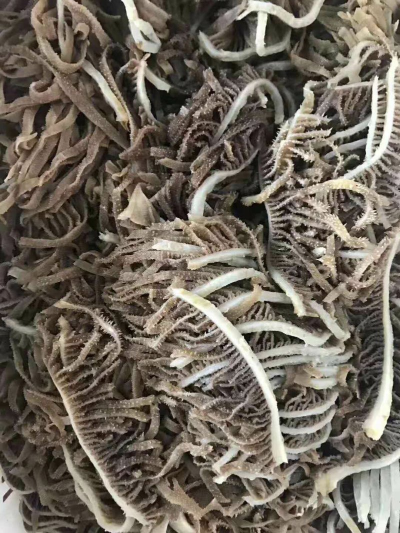 牛肉，牛肚，羊肚，