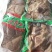 牛肉，牛肚，羊肚，