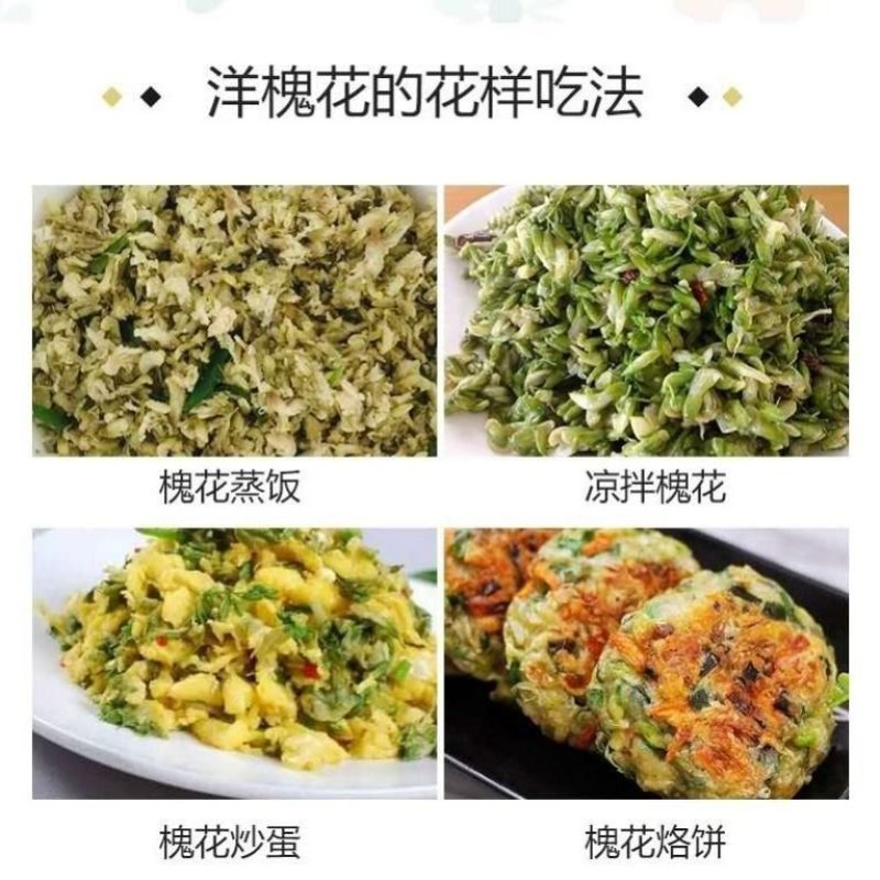 冰冻野生洋槐花新鲜干野生蔬菜当季时令杨槐花野菜干的