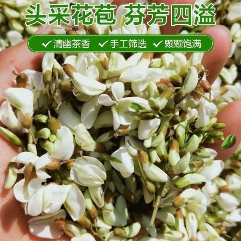 冰冻野生洋槐花新鲜干野生蔬菜当季时令杨槐花野菜干的