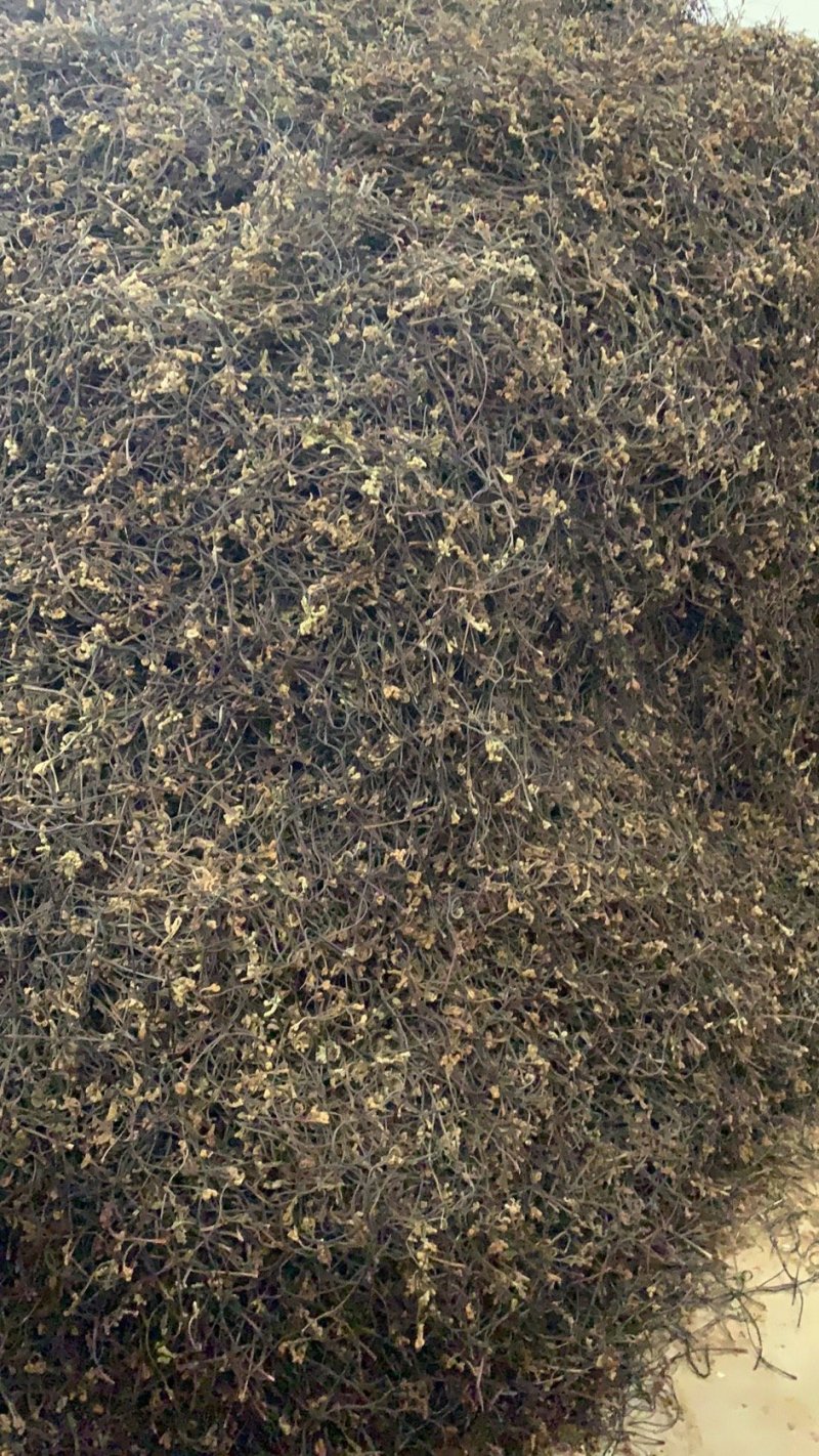 25年新货蕨菜干龙爪菜拳菜干菜脱水蔬菜