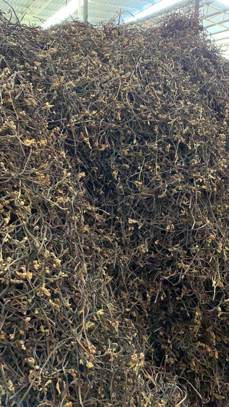 25年新货蕨菜干龙爪菜拳菜干菜脱水蔬菜