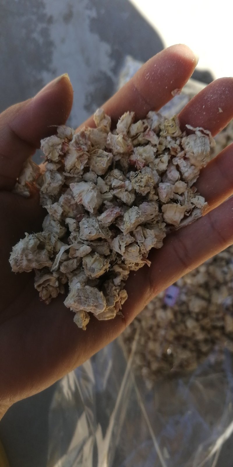 厂家直供精细加工玉米芯玉米棒破碎蘑菇种植有机肥质量保证