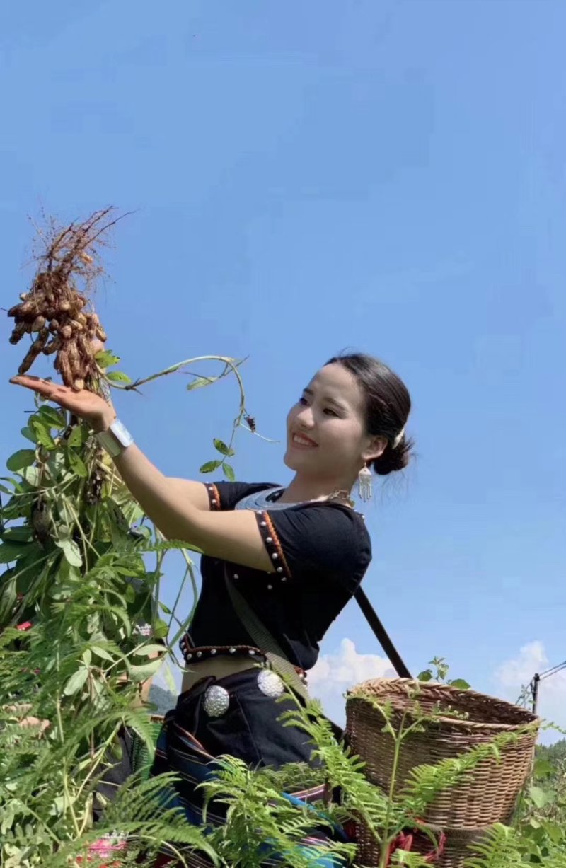 七彩花生七彩花生米云南七彩花生缅甸七彩花生产地直发