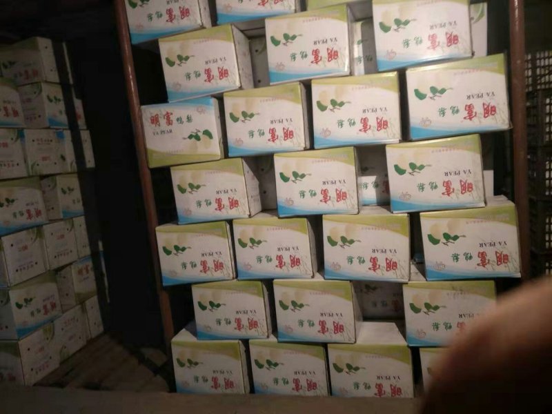 河北肃宁高品质鸭梨，80#96#量大从优