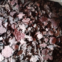 红景天小花西藏大花各种中药材批发零售各种规格