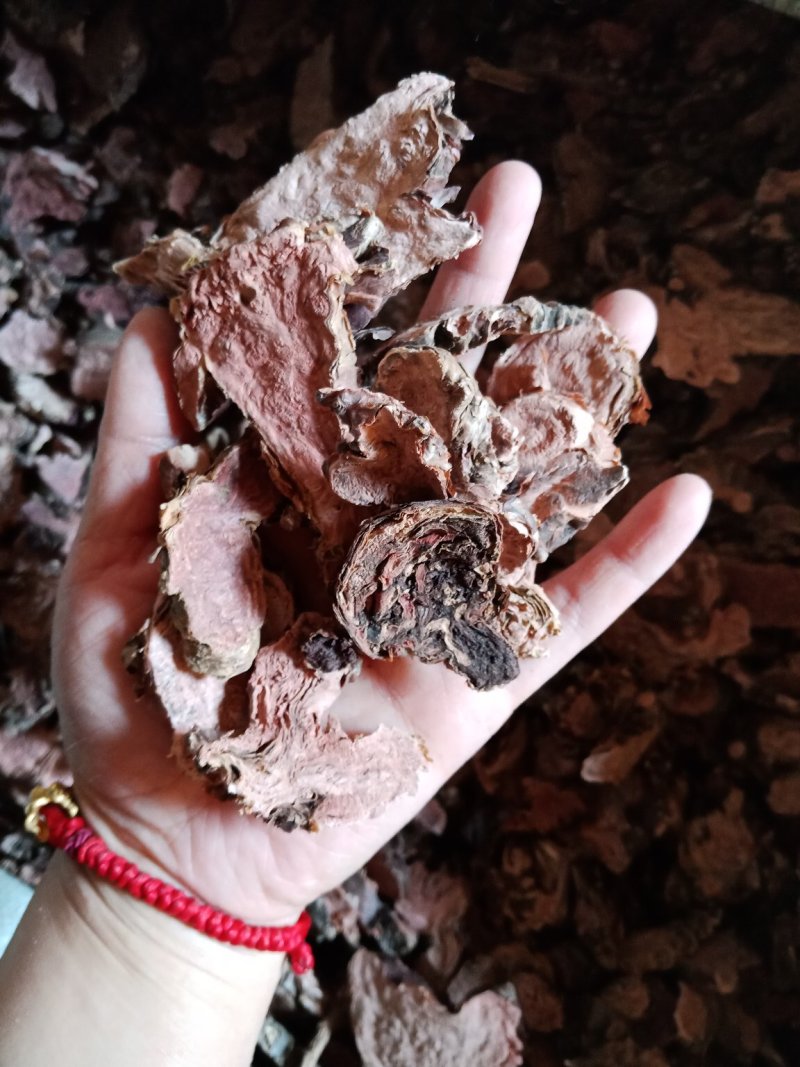 红景天小花西藏大花各种中药材批发零售各种规格