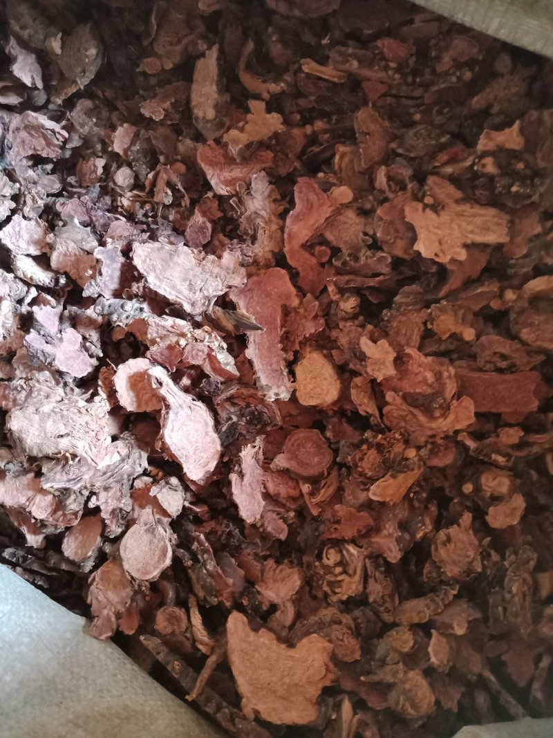 红景天小花西藏大花各种中药材批发零售各种规格