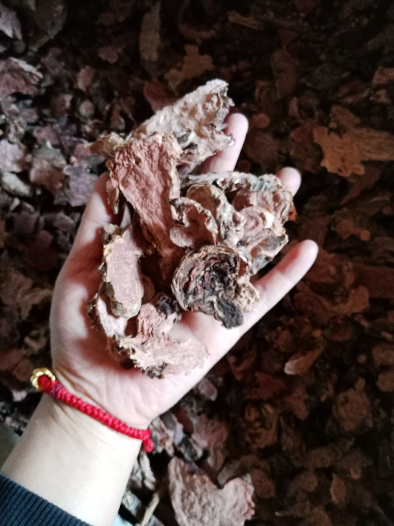 红景天小花西藏大花各种中药材批发零售各种规格